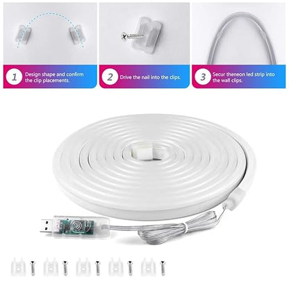 led neon 5m 3